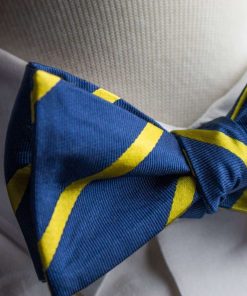 Navy and Yellow Stripes Bow Tie