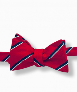 Scholar Red Striped Bow Tie tied